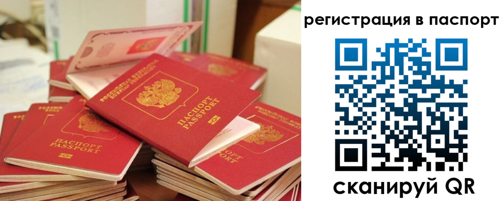 временная регистрация купить в Магаданской области